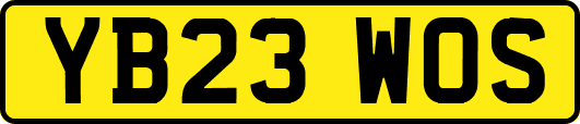 YB23WOS