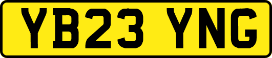 YB23YNG