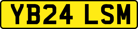 YB24LSM