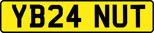 YB24NUT