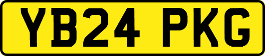 YB24PKG