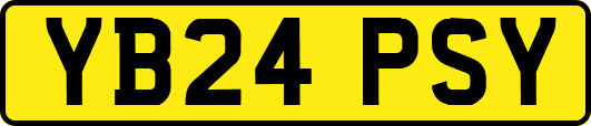 YB24PSY