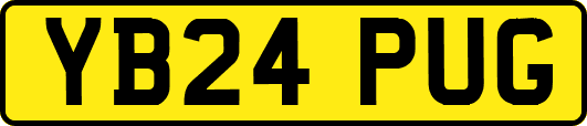 YB24PUG