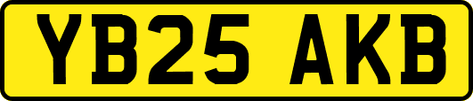 YB25AKB