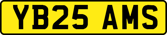 YB25AMS