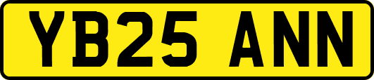 YB25ANN