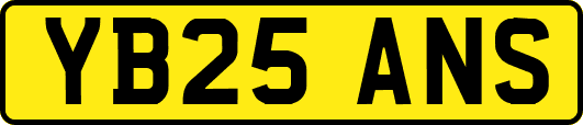 YB25ANS