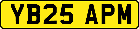 YB25APM