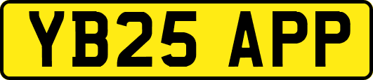 YB25APP