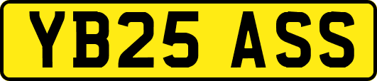 YB25ASS
