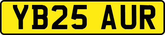 YB25AUR
