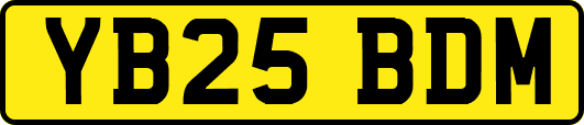 YB25BDM