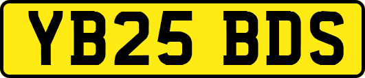 YB25BDS