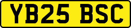 YB25BSC