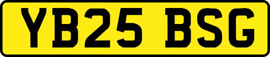 YB25BSG