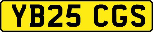 YB25CGS