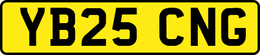 YB25CNG