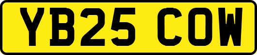 YB25COW
