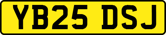 YB25DSJ