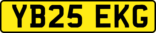 YB25EKG
