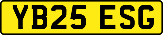 YB25ESG