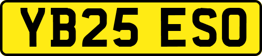 YB25ESO
