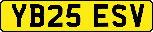 YB25ESV