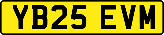 YB25EVM