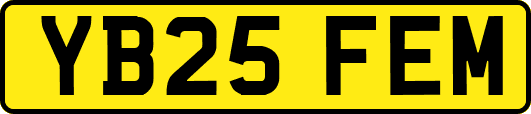 YB25FEM