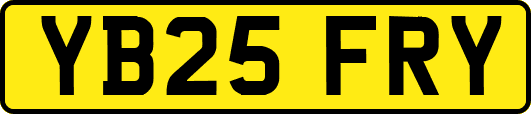 YB25FRY