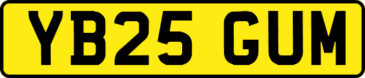 YB25GUM