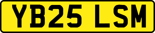 YB25LSM
