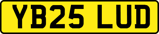 YB25LUD