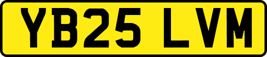 YB25LVM