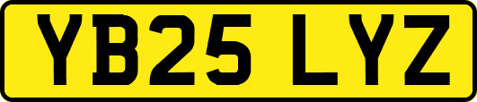 YB25LYZ