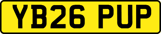 YB26PUP