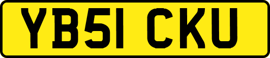 YB51CKU