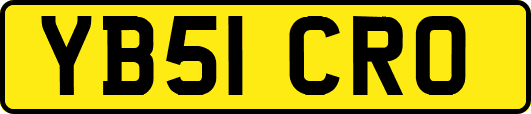 YB51CRO