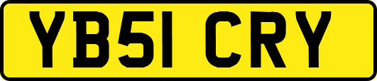 YB51CRY