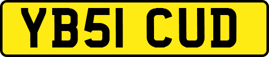 YB51CUD