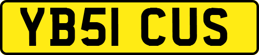 YB51CUS