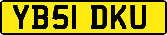 YB51DKU