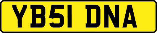 YB51DNA