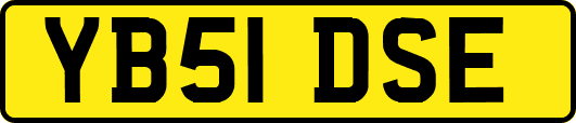 YB51DSE