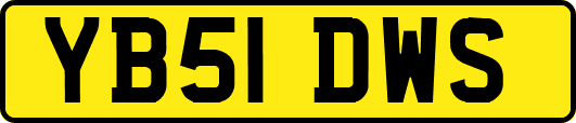 YB51DWS