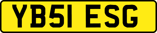 YB51ESG