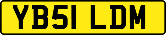 YB51LDM