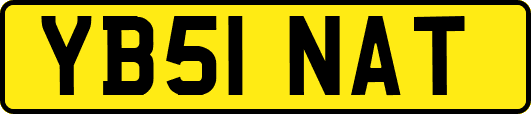 YB51NAT