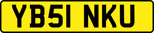 YB51NKU