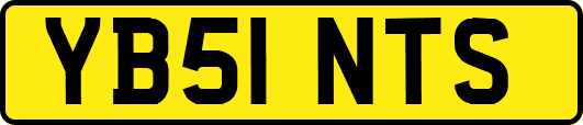 YB51NTS